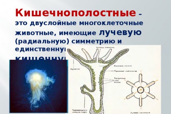 Украли аккаунт на кракене что делать