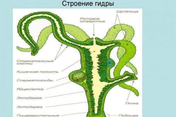 Современный маркетплейс kraken door