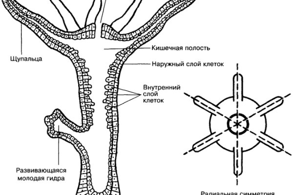 Кракен сайт 16